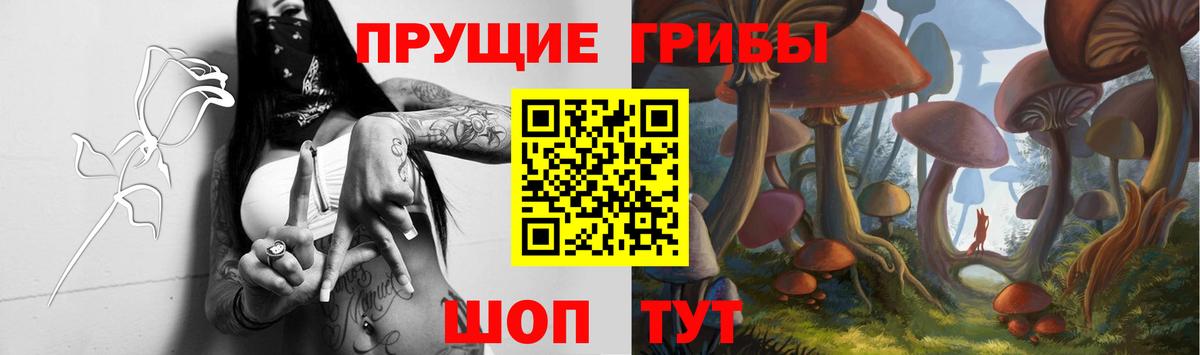 Сарапул  Галлюциногенные грибы прущие грибы  Вход с VPN 